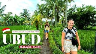 Hiking in Ubud  Magical Rice Trails of Subak Juwuk Manis Bali | Complete Details