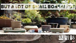 [Bonsai pot] Rare item⁉ Purchase a large number of mini bonsai pots [Bonsai Q]