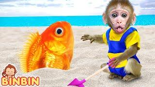 Monkey Binbin Goes Gold Fishing with Cute Ducky and Swims in the Pool with Friends | MONO BINBIN ESP