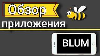 Обзор крипто приложения BLUM в телеграмм, когда токен, листинг?