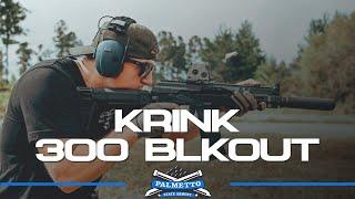 The 300 Blackout Krink | Everything You Need to Know - Palmetto State Armory