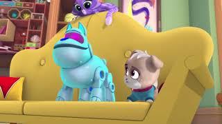 Puppy Dog Pals S02E06 ARF choo!   Part 06