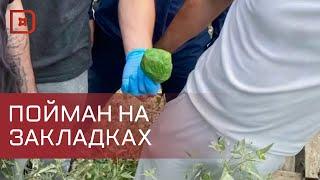 Житель Азербайджана задержан в Махачкале за размещение тайников с наркотиками