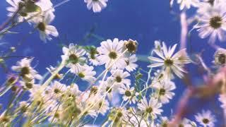 Resting Place - A.J Gatz & the Elastic Band