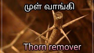 thorn remover ( முள் வாங்கி) pothu Nalam Virumbi