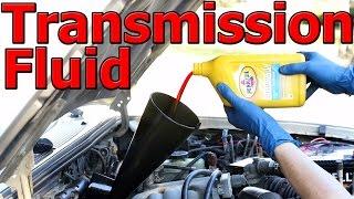 How to Change Automatic Transmission Fluid and Filter (COMPLETE Guide)