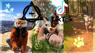 Therian and Quadrobics TikToks || Compilation 🪱🪲|| Alterhumans of TikTok #89