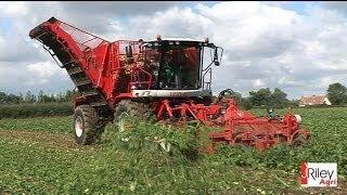 Vervaet Beet Eater 617 six-row sugar beet harvester