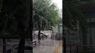 어제 태풍 온 날 날씨