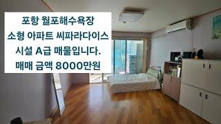 포항 바닷가 세컨드 하우스 추천,월포해수욕장 생활이 가능한 소형 아파트 씨파라다이스 매매