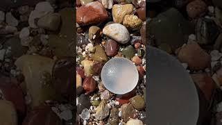 Clear round sea glass. #beach #clear #SeaGlass