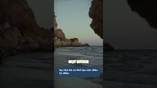 Giọt Sương Nhỏ và Bài Học Về Giá Trị Của Sự Đóng Góp