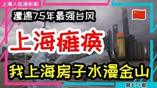 【上海瘫痪】台风天“光明村”大排长龙 “贝碧嘉”正面袭击上海主城区 #贝碧嘉 #台风 #上海 #房屋质量 #房屋养老金｜上海人在洛杉矶｜上海房价 海外置业 美国买房 加州买房  美国移民 移民生活