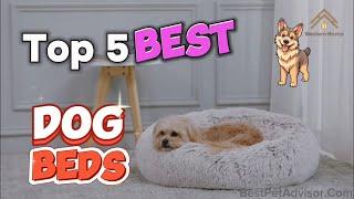 Top 5 Pet Beds for 2024