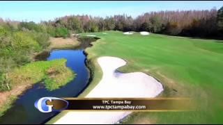 Golf Destination - TPC Tampa Bay