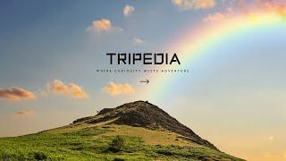 Welcome To Tripedia...! #travel #shimla #shimlatrip #trekking #mountains #shorts