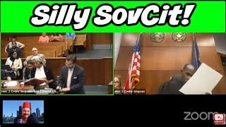 Sovereign Citizen With Judge Simpson Plus Karen And More!