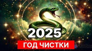 2025 год чистки! Что ожидает нас?