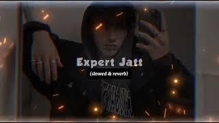 Expert Jatt (slowed & reverb) Nawab || Remixflame #punjabisong #trending #slowedandreverb