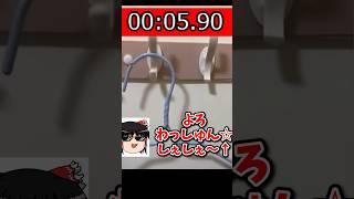 中華安物ハンガーラック_破損RTA_9秒38 #カオスRTA Part5