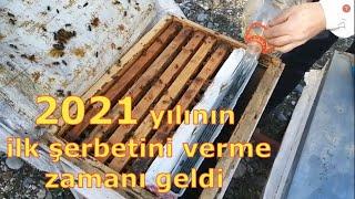 Arıcılık | 2021 yılının ilk şerbetini vermeye başladık. beekeeping.  Arıçılıq