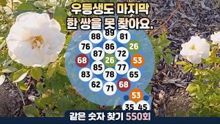 같은숫자찾기 550회 - 우등생도 마지막 한 쌍을 못 찾아요.#같은숫자찾기 #퀴즈 #치매예방퀴즈  #두뇌활성화  #number search #quiz #脳トレ #数字探し