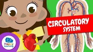 THE CIRCULATORY SYSTEM | Educational Videos for Children