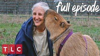 Obsessed With Her Pet Capybara! | My Crazy Obsession (Full Episode)