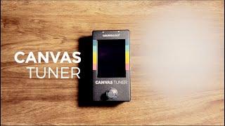 5 REASONS to GET the CANVAS TUNER by Walrus Audio