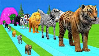 Paint & Animals Cow,Gorilla,Elephant,Lion,Tiger,Dinosaur, Fountain Crossing Transformation Cartoon