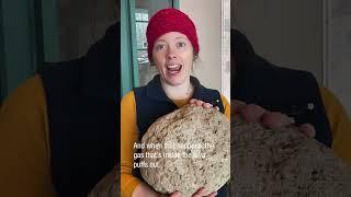 Sonja's Rock Corner Presents: Pumice
