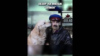 Псы режима на тропе войны. Guard golden retriever #taganay #обзорфильма #киноклюква