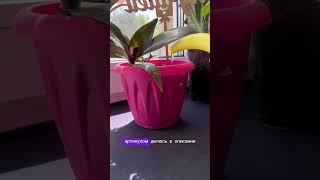 Артикул ВБ 428505148 #товарыдлядома #находки #распаковка #обзор #wildberries
