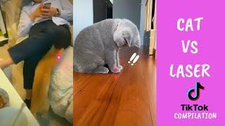 Cat vs laser pointer compilation. Random funny cats' reactions to laser pointers to make you laugh.