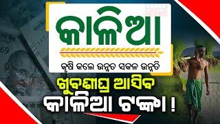 Reporter Live: Speculations Of Odisha Govt Dispatching Kalia Yojana Money Ahead Of 2024 Election