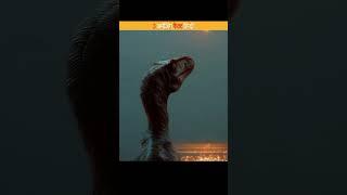 3 अमेजिंग फैक्ट हिन्दी #viralshort #viralvideo #viralreel