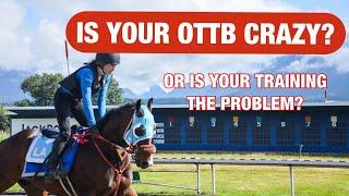 OTTB Misconceptions: blaming the horse for your problems