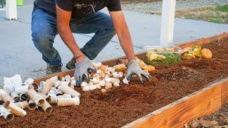 7 Things You Can Bury in the Garden to Add FREE Nutrients