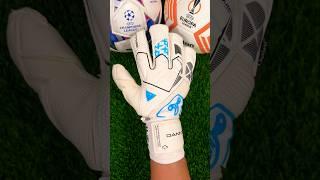 Top 5 Finger Protection GK Gloves 