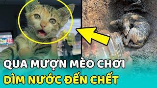  Chấn động bé gái DÌM NƯỚC bé MÈO CON đến TỬ VONG rồi GIẤU XÁC | MEOW