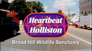 Heartbeat of Holliston: Broad Hill Wildlife Sanctuary