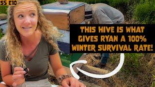 How To NEVER Buy Bees Again w/ Ryan Nimms | Beekeeping 101 #beekeeping