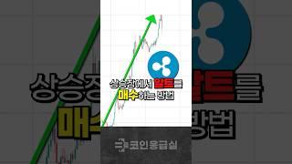 당신이 잡을 수 있는 마지막 기회 | 알트코인 상승장