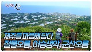 때 묻지 않은 원시 자연을 간직한 '제주의 오름'으로의 여정 [영상앨범 산] KBS 240630 방송