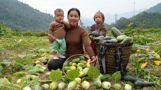 Harvesting giant pumpkins and melons to sell at the market - buying shoes for my young son