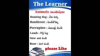 Learn SPOKEN ENGLISH in Telugu Easily!