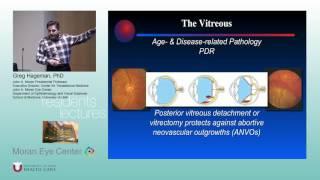 Structure, Function & Pathology of the Choroid-RPE-Retina-Vitreous Complex (Part 2)