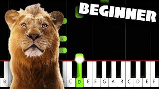 I Always Wanted A Brother (Mufasa: The Lion King) - BEGINNER Piano Tutorial