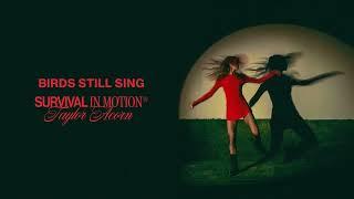 Taylor Acorn - Birds Still Sing (Official Audio)