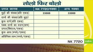 NK 7720 Tolo Fir Bolo Hindi Video Syngenta India 2020